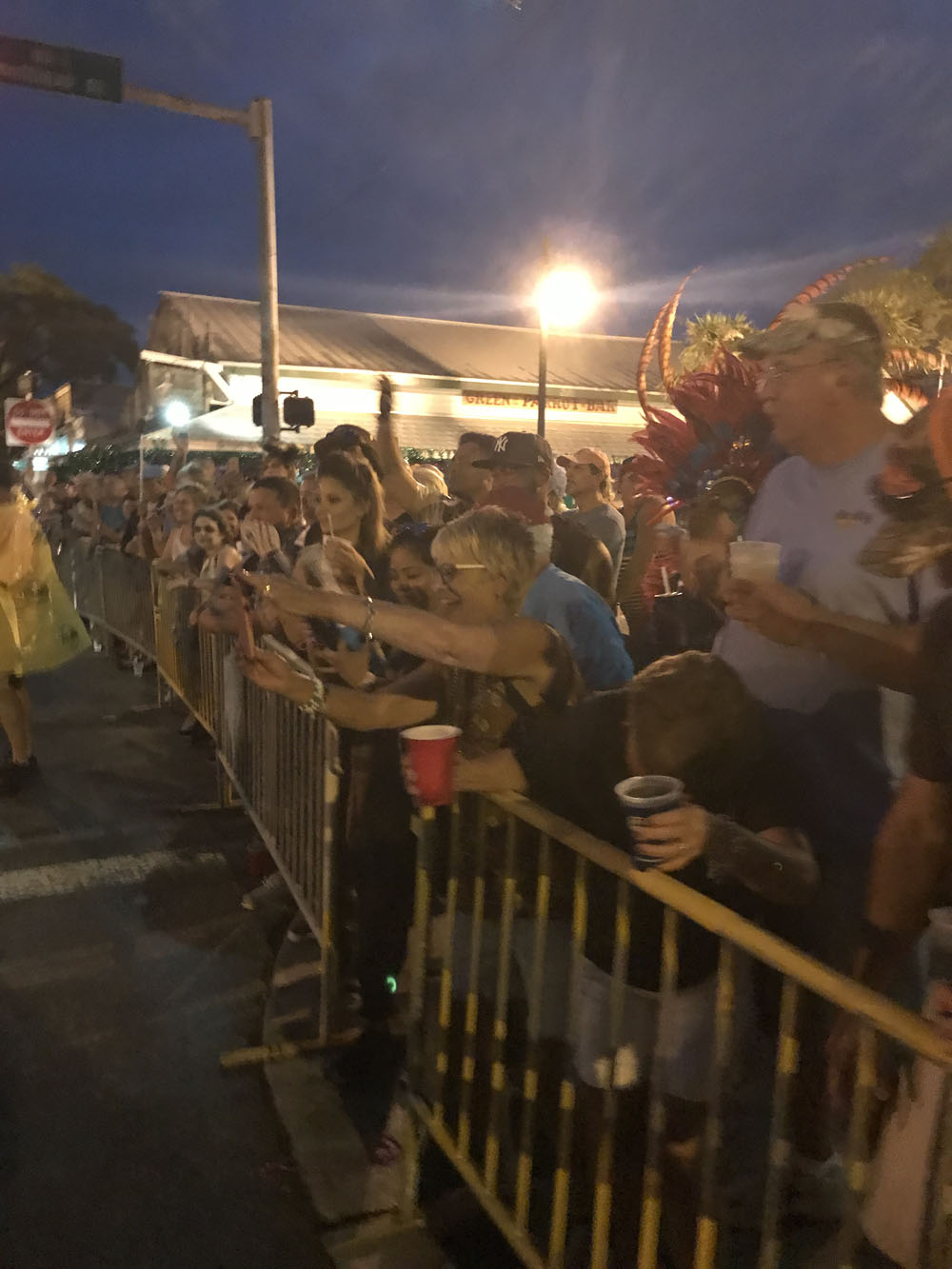 Fantasy Fest Parade 2017 photo - Duval Street, Key West